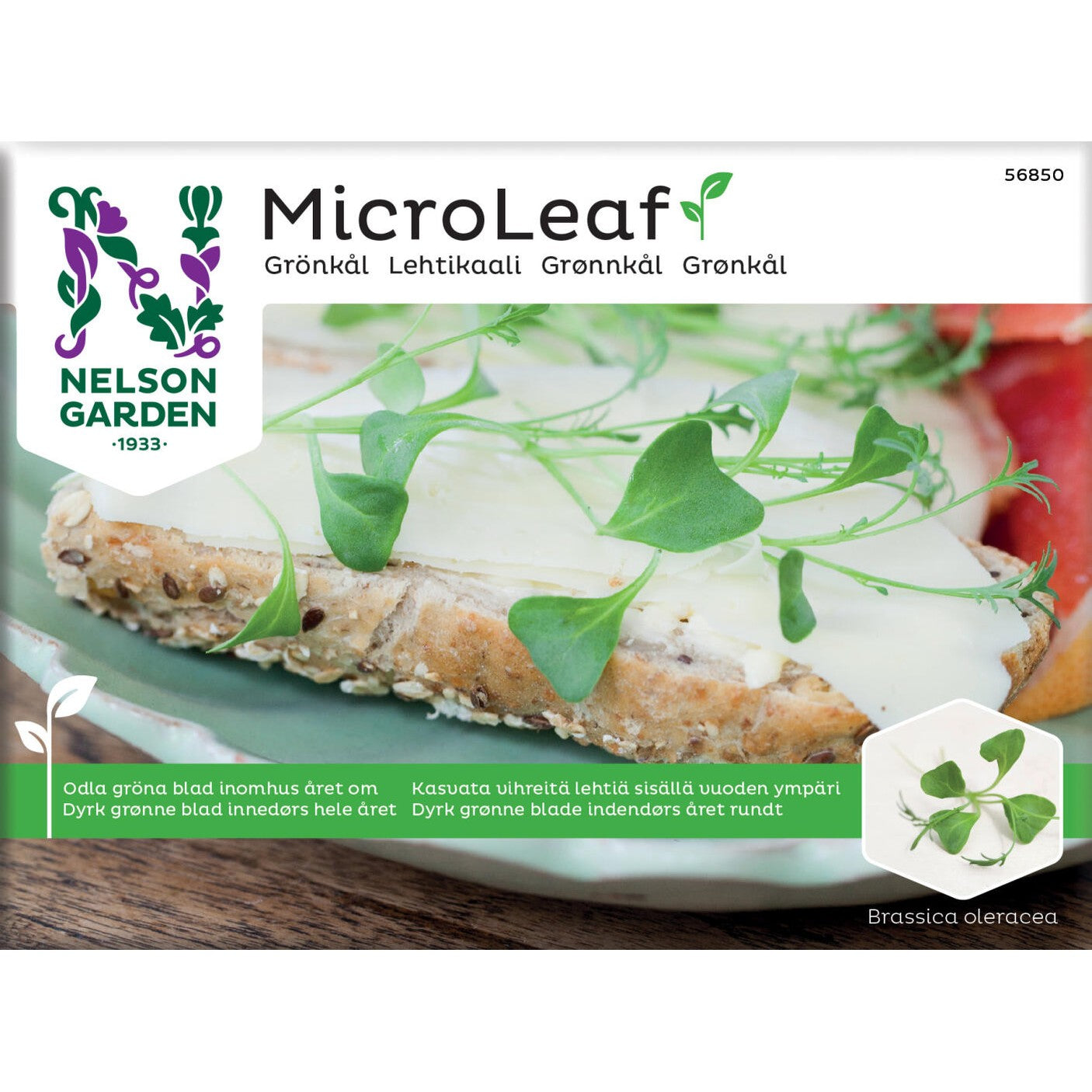 Micro Leaf grönkål